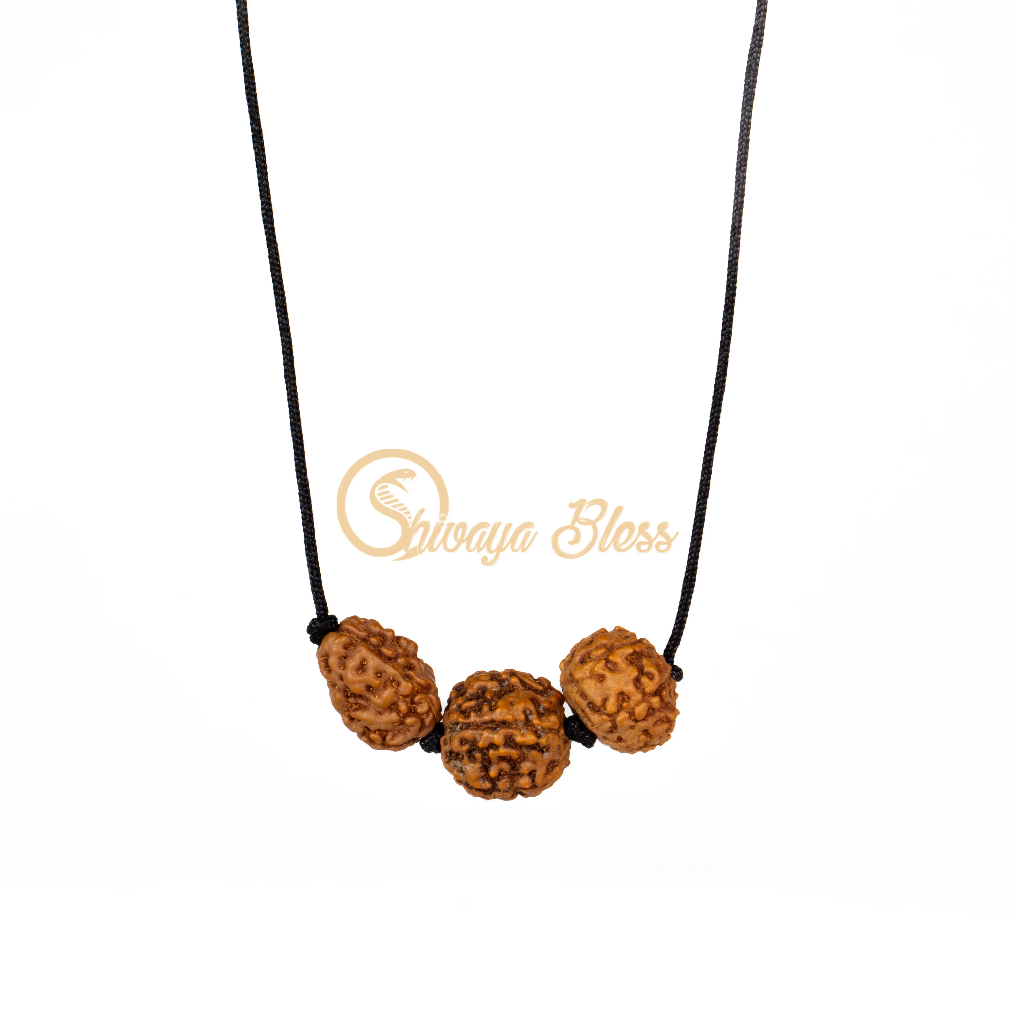 9 Face Rudraksha