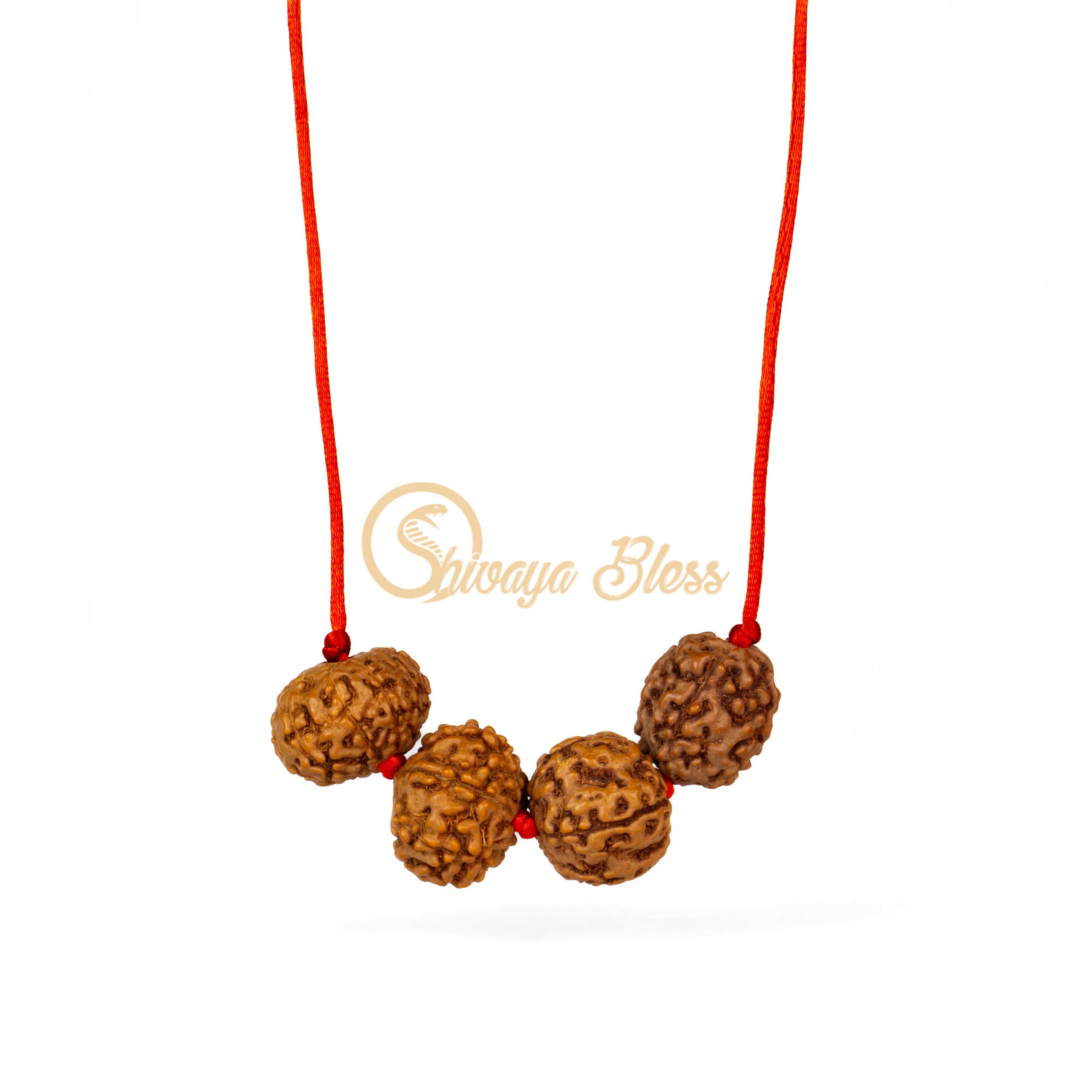 5 Face Rudraksha